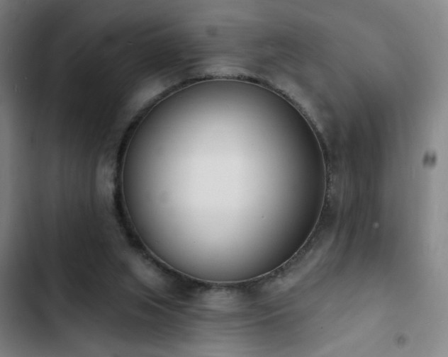 X0000103300063200808291415