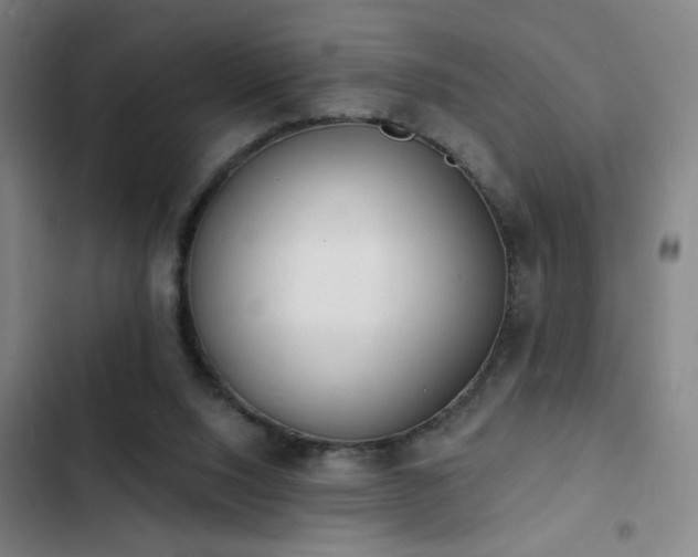 X0000103300064200808291415