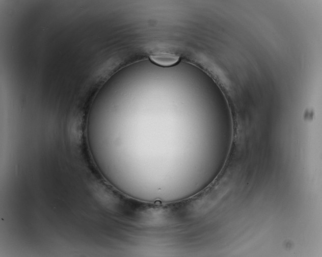 X0000103300065200808291415