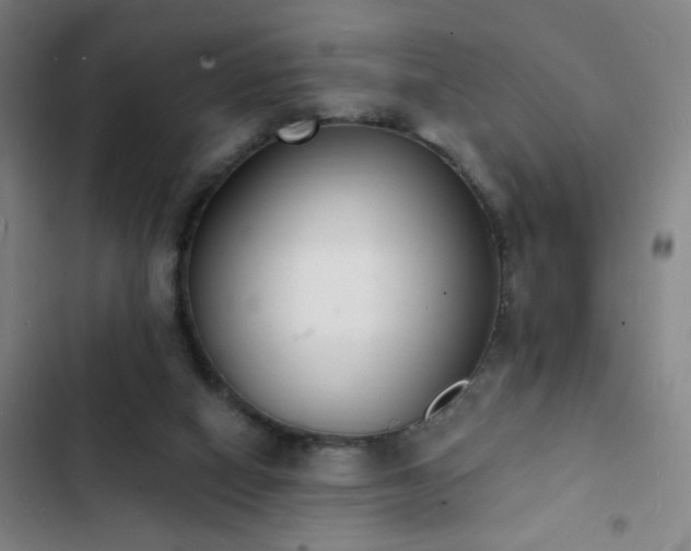 X0000103300066200808291415