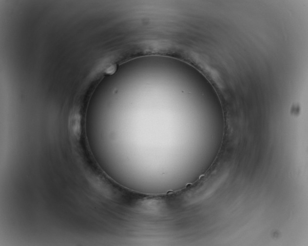 X0000103300067200808291415