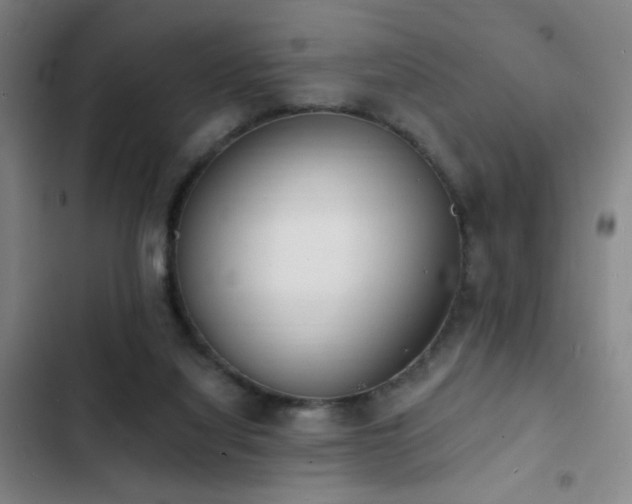 X0000103300068200808291415