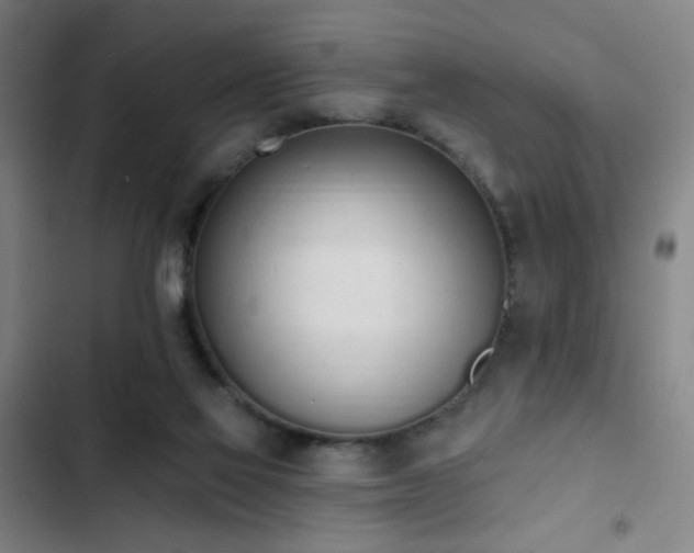 X0000103300069200808291415