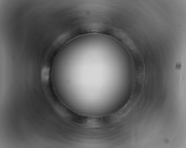 X0000103300070200808291415