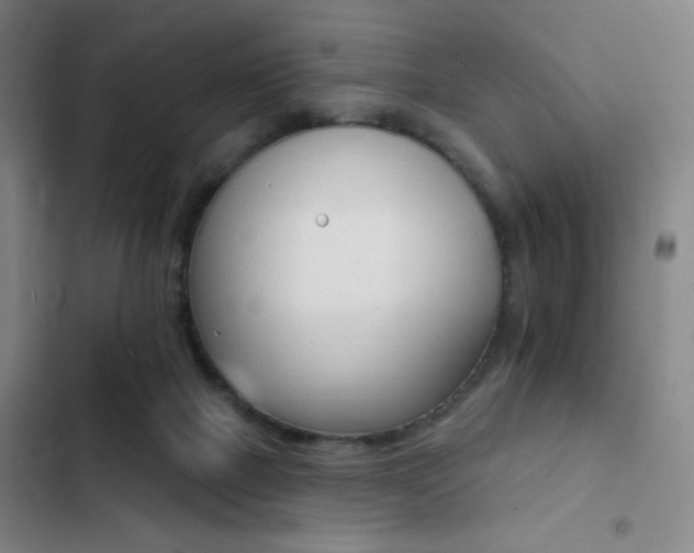 X0000103300073200808291415