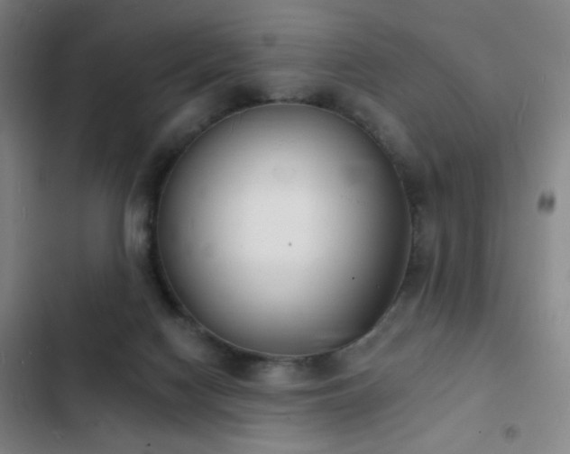 X0000103300074200808291415