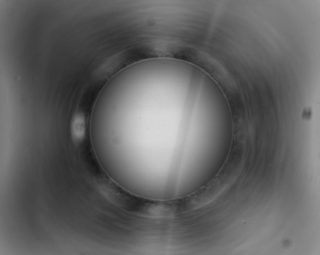 X0000103300075200808291415