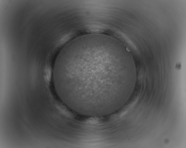 X0000103300076200808291415