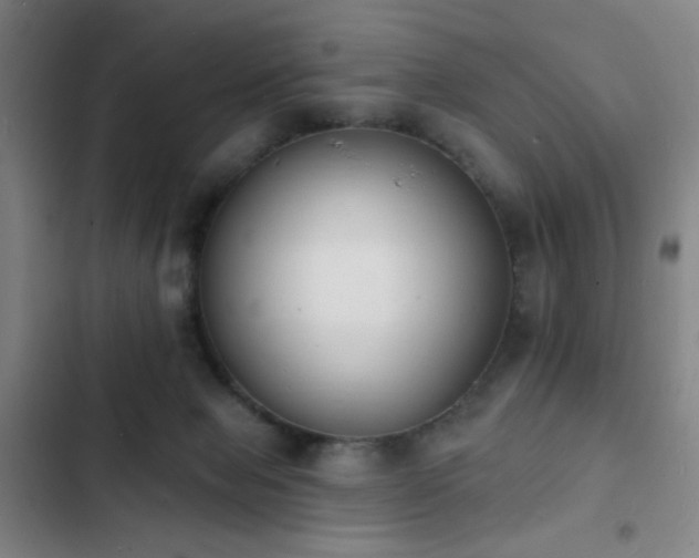 X0000103300077200808291415