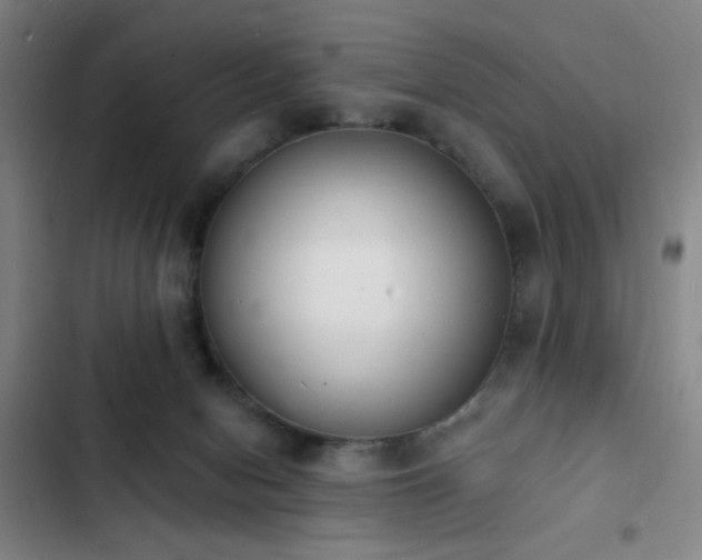 X0000103300078200808291415