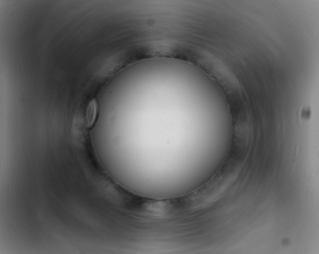 X0000103300079200808291415