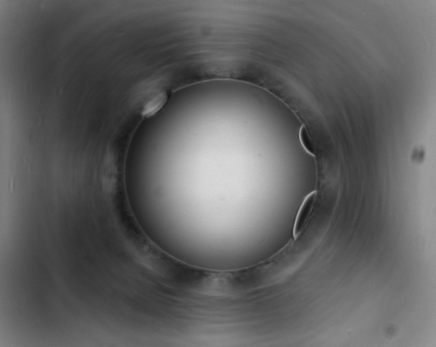 X0000103300080200808291415