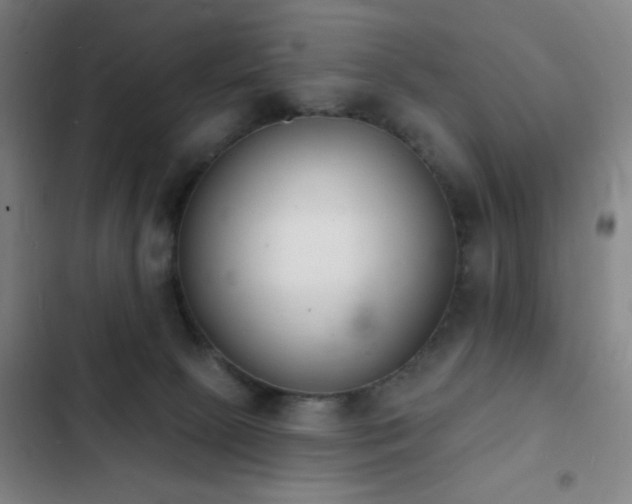 X0000103300081200808291415