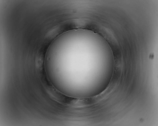 X0000103300082200808291415