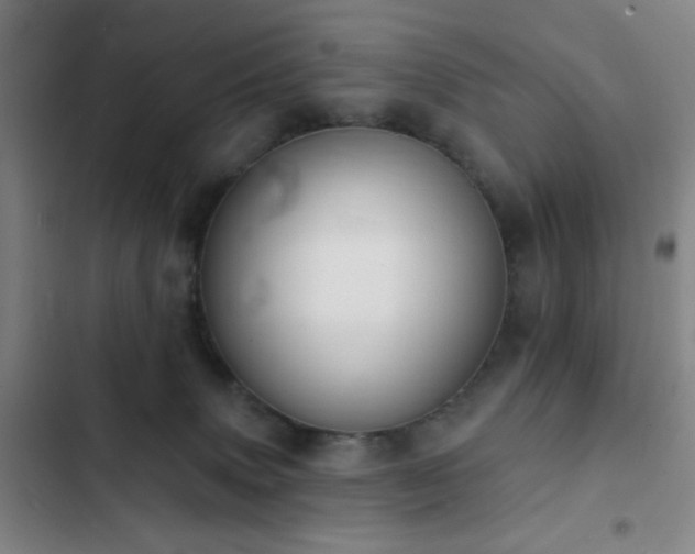 X0000103300083200808291415