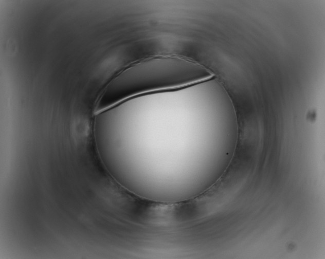 X0000103300084200808291415