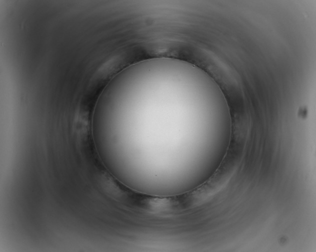 X0000103300085200808291415