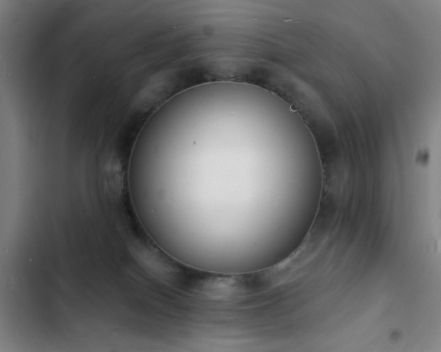 X0000103300086200808291415