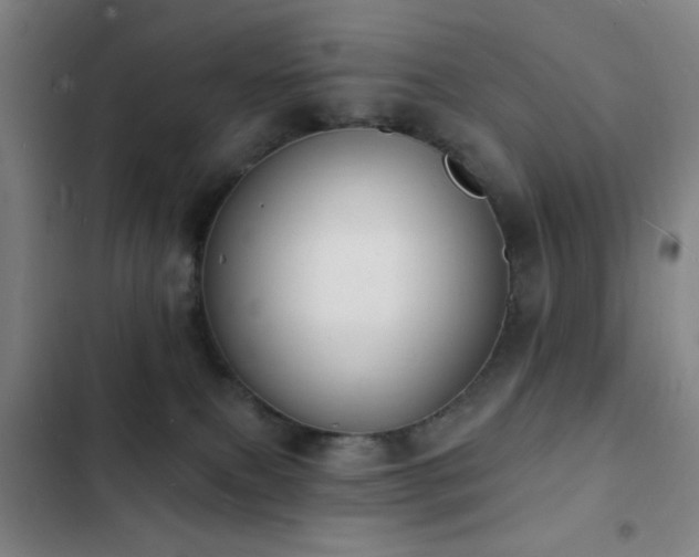 X0000103300087200808291415