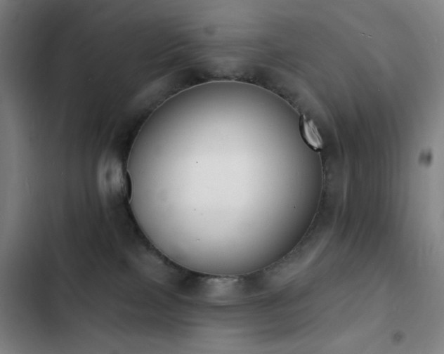 X0000103300089200808291415