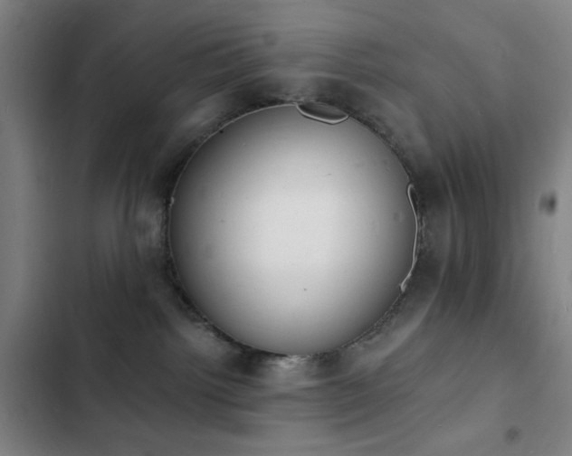 X0000103300092200808291415