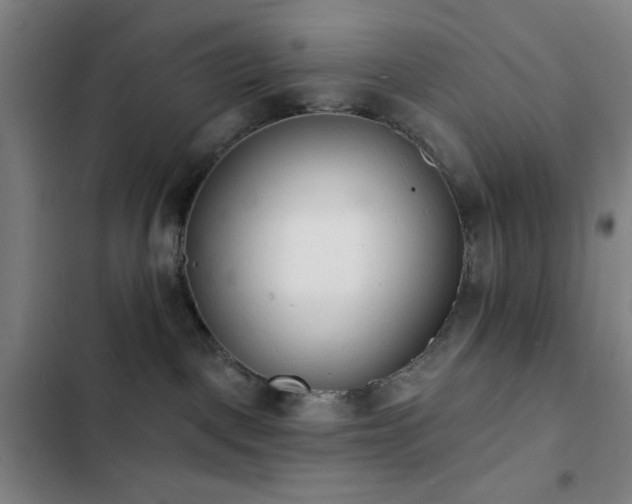 X0000103300093200808291415