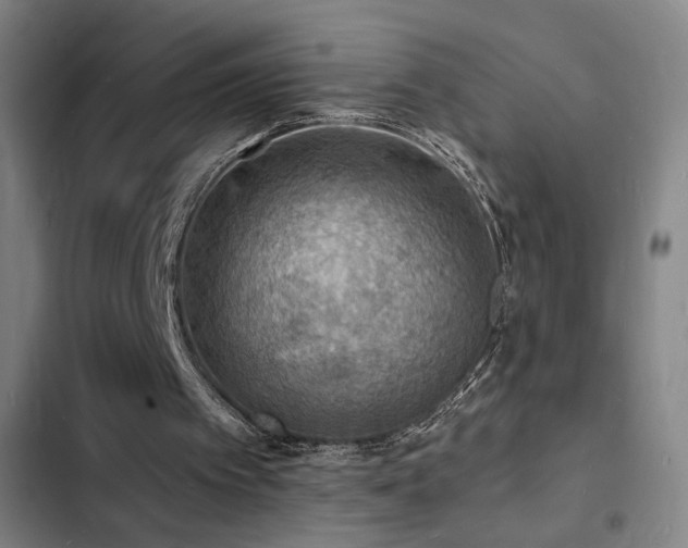 X0000103300097200808291415