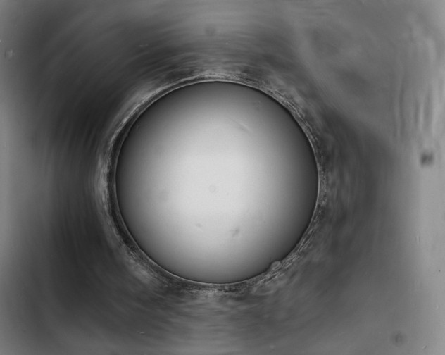 X0000103300098200808291415