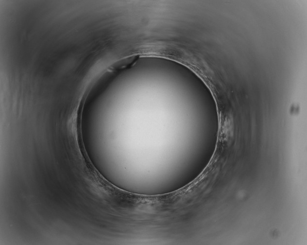 X0000103300099200808291415