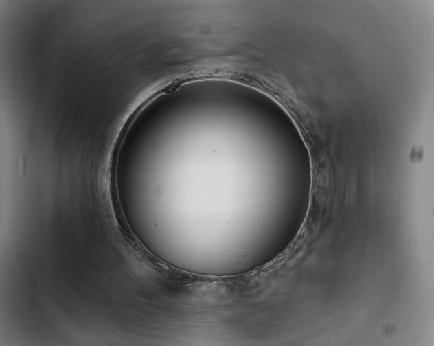 X0000103300100200808291415