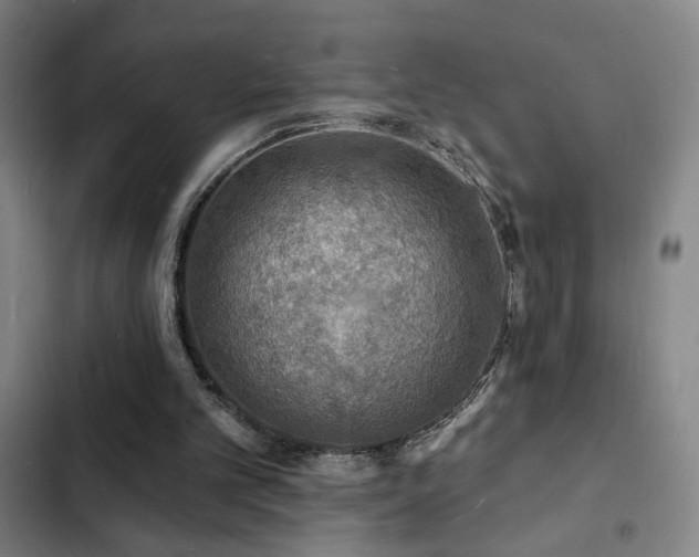 X0000103300101200808291415