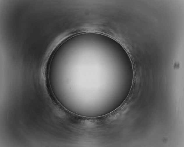 X0000103300103200808291415