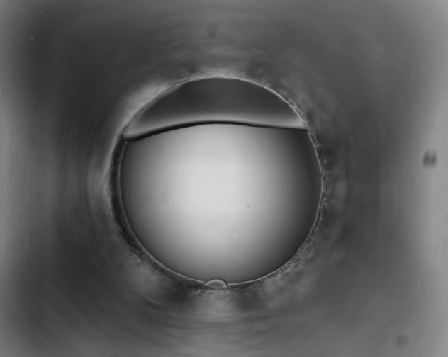 X0000103300104200808291415