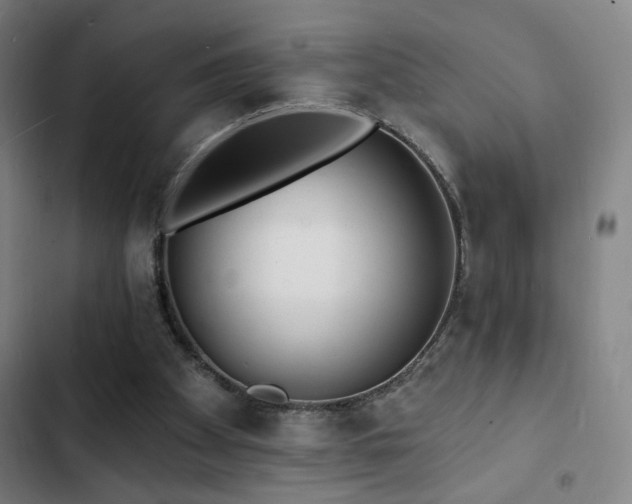 X0000103300105200808291415