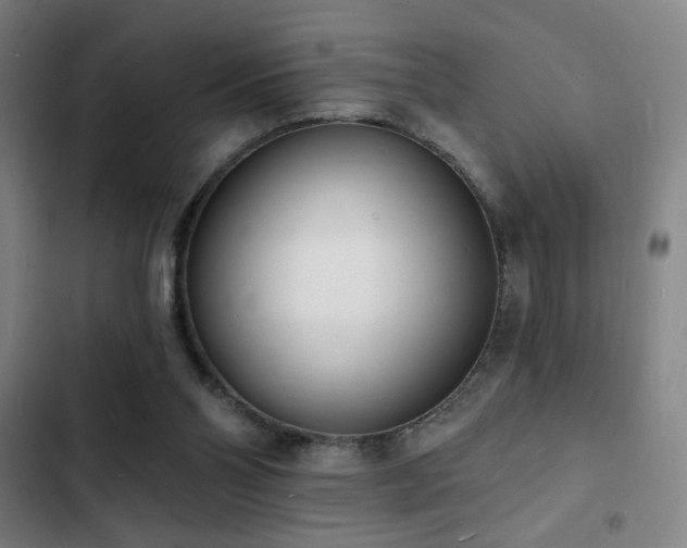 X0000103300110200808291415