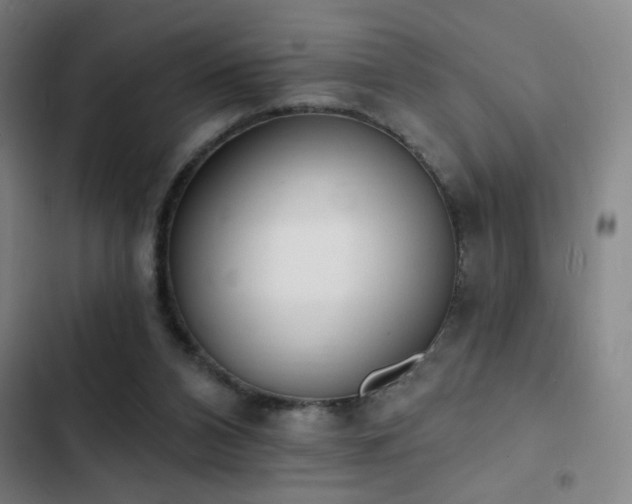 X0000103300112200808291415