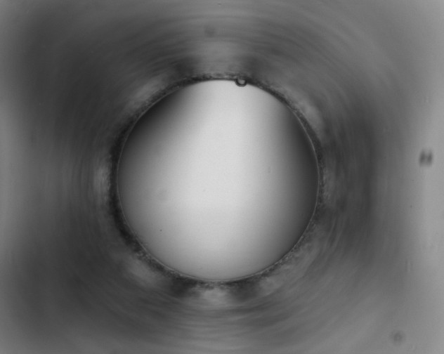 X0000103300113200808291415