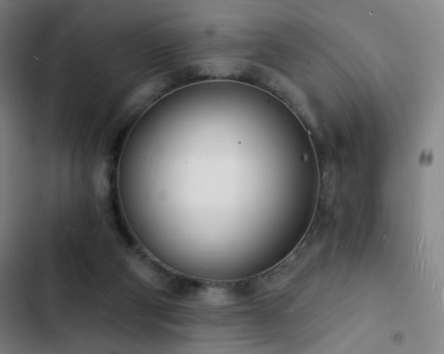 X0000103300114200808291415