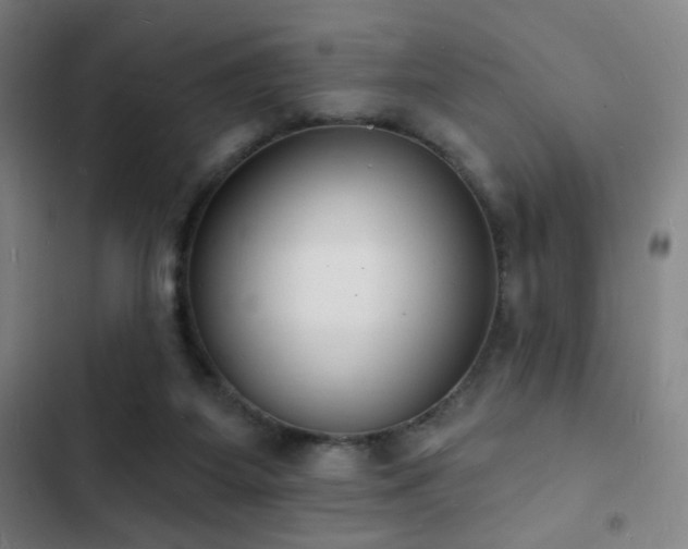 X0000103300115200808291415