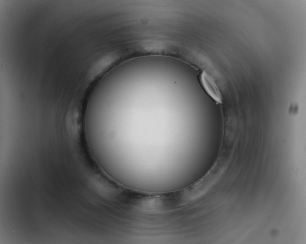 X0000103300116200808291415