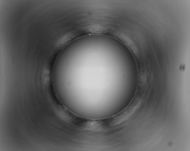 X0000103300117200808291415