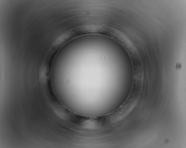 X0000103300119200808291414