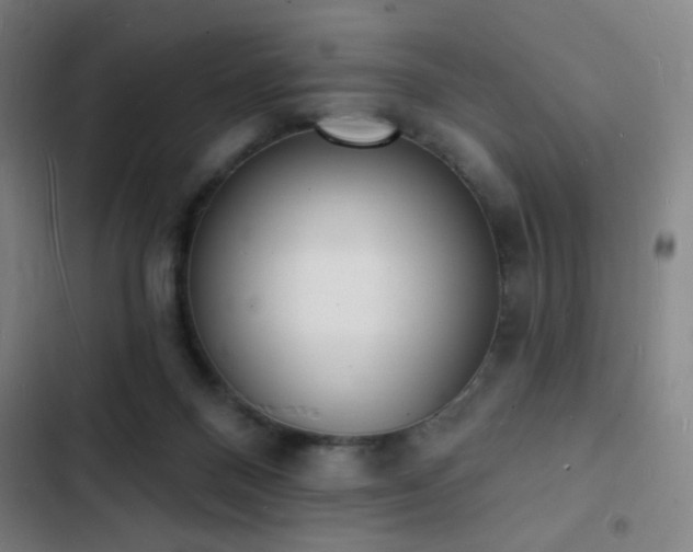 X0000103300120200808291414