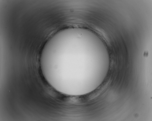 X0000103300121200808291414