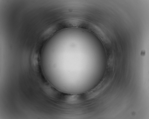 X0000103300122200808291414