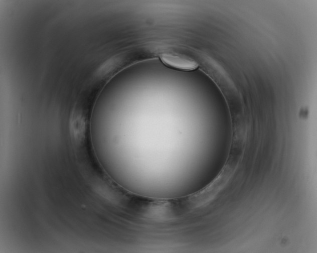 X0000103300124200808291414