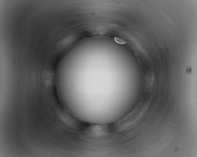 X0000103300126200808291414