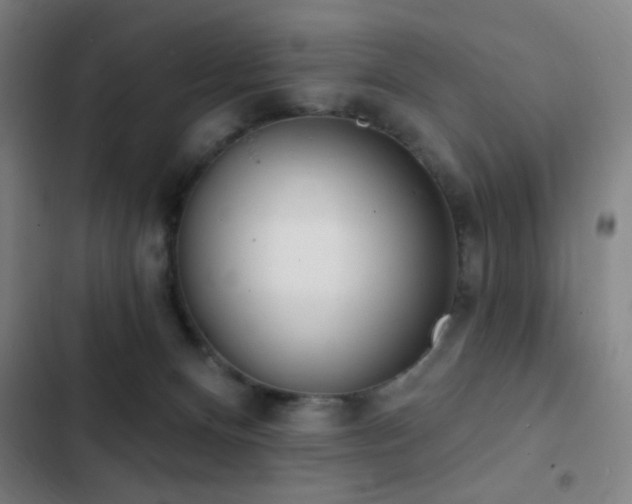 X0000103300128200808291414