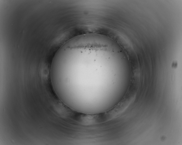 X0000103300129200808291414