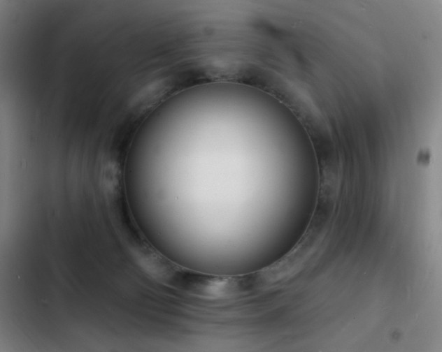 X0000103300130200808291414